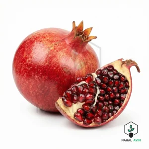 نهال انار دانه سیاه