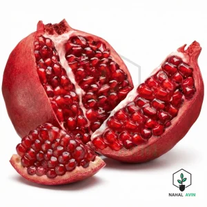 نهال انار قندهار