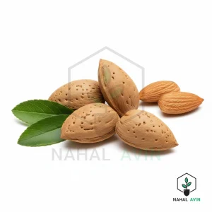 نهال بادام آذرخوشه ای