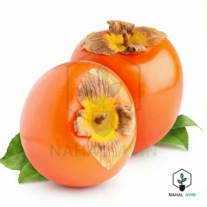 نهال خرمالو ارموند