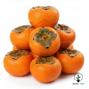 نهال خرمالو ژاپنی