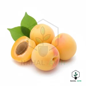 نهال زردآلو سلطنتی