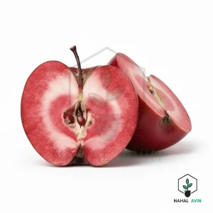 نهال سیب توسرخ