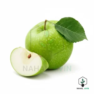 نهال سیب گرانی اسمیت