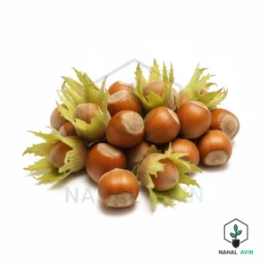 نهال فندق قزوین