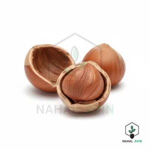 نهال فندق گردویی
