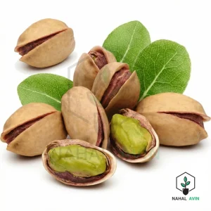 نهال پسته احمد آقایی