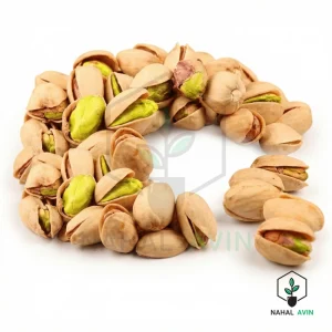 نهال پسته اکبری