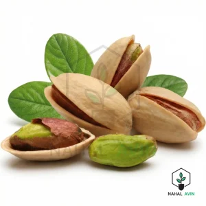 نهال پسته رفسنجان