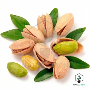 نهال پسته هیبریدی