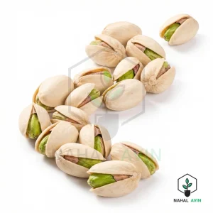 نهال پسته کله قوچی
