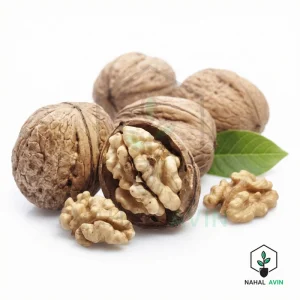 نهال گردو اسرائیلی (فلسطینی)