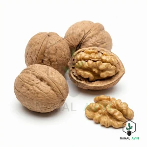 نهال گردو جمال
