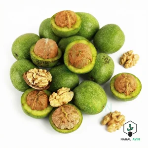 نهال گردو فرنور