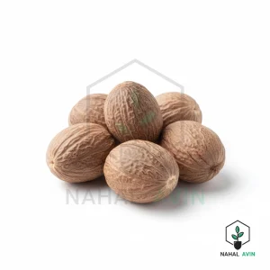 نهال گردو هارتلی