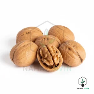 نهال گردو پدرو