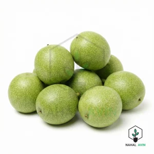 نهال گردو چندلر