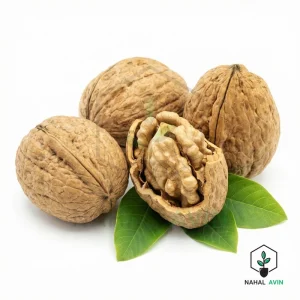 نهال گردو ژنوتیپ گرمسیری
