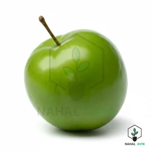 نهال گوجه سبز شهریار